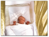 金剛罩電磁波防護垂幕連嬰兒牀（天然色櫸木架) Goldkind Pro® Baby Bed with Shielding Canopy (natural beechwood stand)